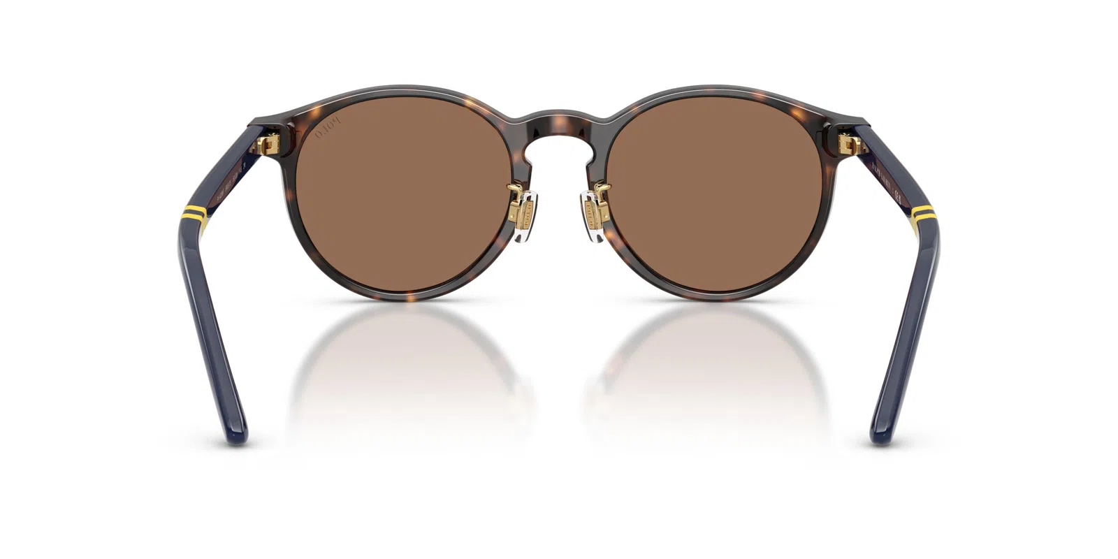 Polo 4236F Sunglasses - view 11